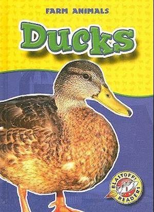 Ducks