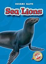 Sea Lions