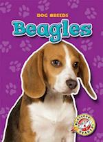 Beagles