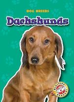 Dachshunds