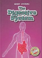 The Digestive System