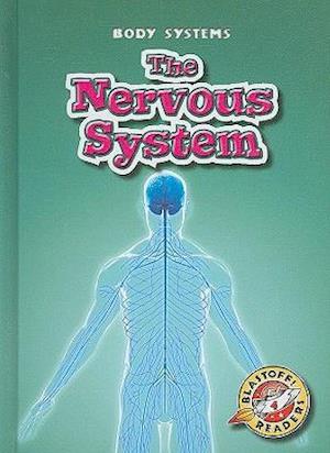 The Nervous System