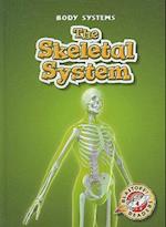 The Skeletal System