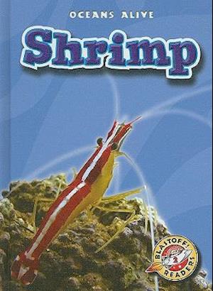 Shrimp