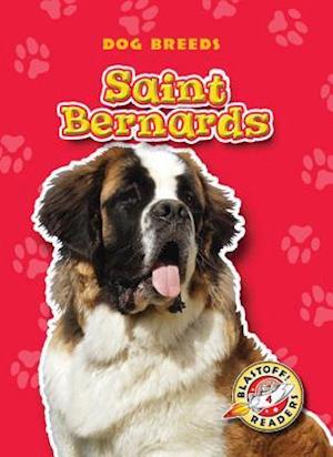 Saint Bernards