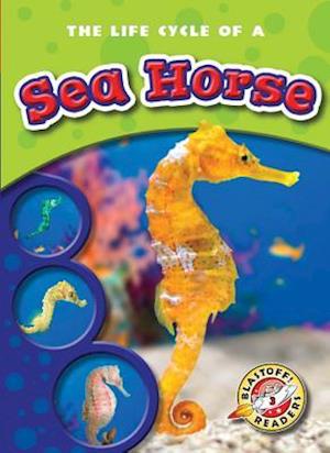 The Life Cycle of a Sea Horse