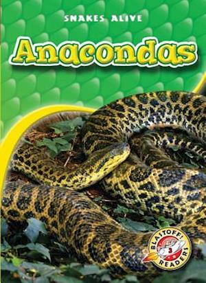 Anacondas