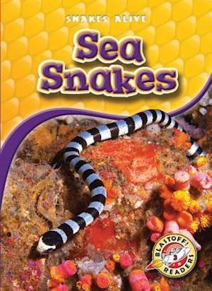 Sea Snakes