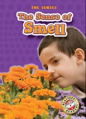 The Sense of Smell