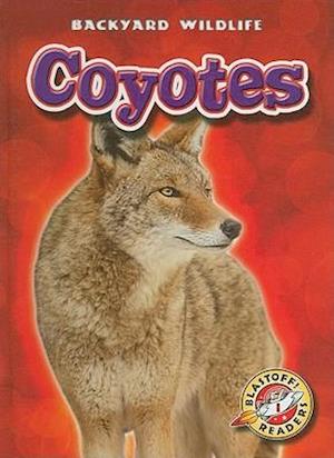 Coyotes