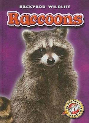 Raccoons