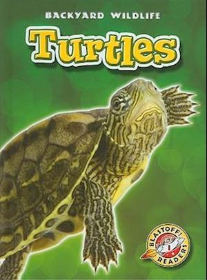 Turtles