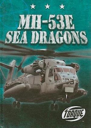 MH-53E Sea Dragons