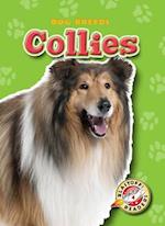 Collies