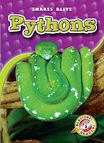 Pythons