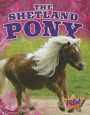 The Shetland Pony