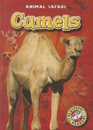 Camels