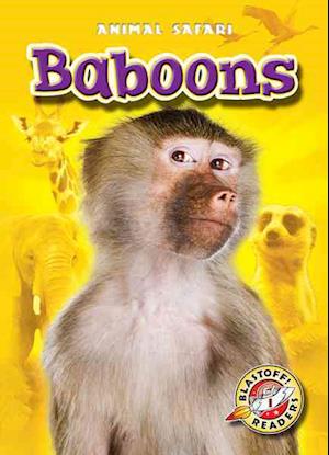 Baboons