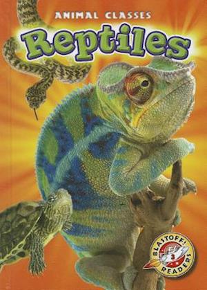 Reptiles