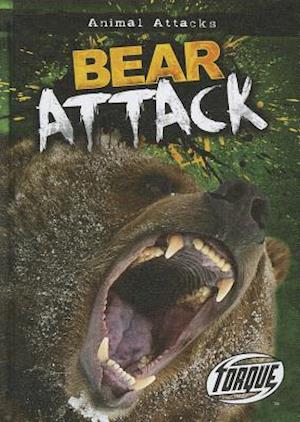 Bear Attack