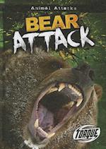 Bear Attack