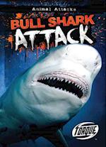 Bull Shark Attack