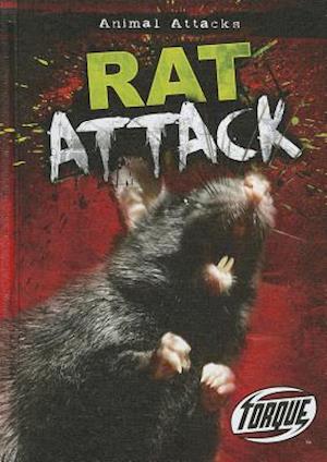 Rat Attack