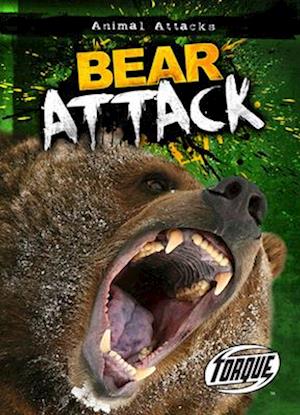 Bear Attack