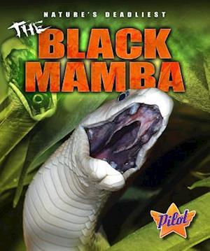 The Black Mamba