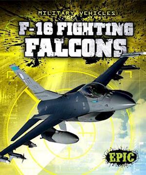 F-16 Fighting Falcons