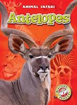 Antelopes