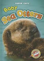 Baby Sea Otters