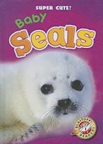 Baby Seals