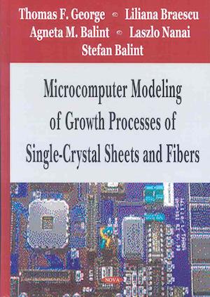 Microcomputer Modeling of Growth Processes of Single-Crystal Sheets & Fibers