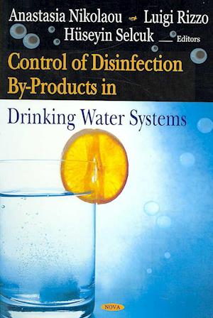 Control of Disinfection By-Products in Drinking Water Systems