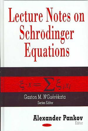 Lecture Notes on Schroedinger Equations