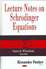 Lecture Notes on Schroedinger Equations