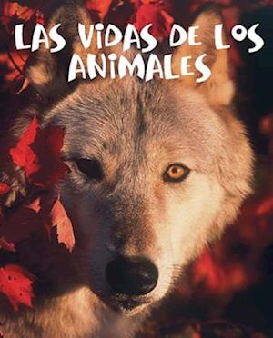 Las Vidas de Los Animales