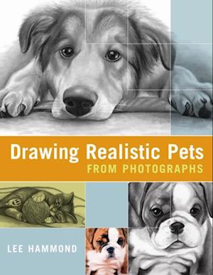 Drawing Realistic Pets from Photographs