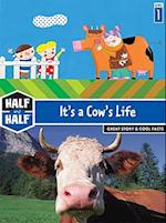 It's a Cow's Life