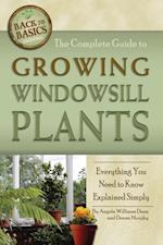 Complete Guide to Growing Windowsill Plants