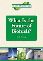 What Is the Future of Biofuels?