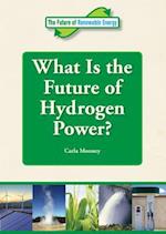 What Is the Future of Hydrogen Power?