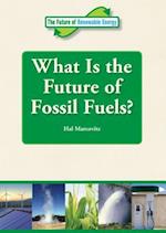 What Is the Future of Fossil Fuels?