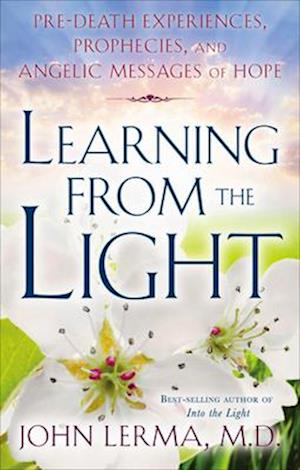 LEARNING FROM THE LIGHT - ebook