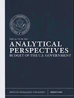 Analytical Perspectives