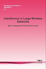 Interference in Large Wireless Networks