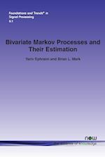 Bivariate Markov Processes and Their Estimation
