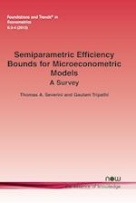 Semiparametric Efficiency Bounds for Microeconometric Models