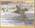 Flight of the Golden Plover